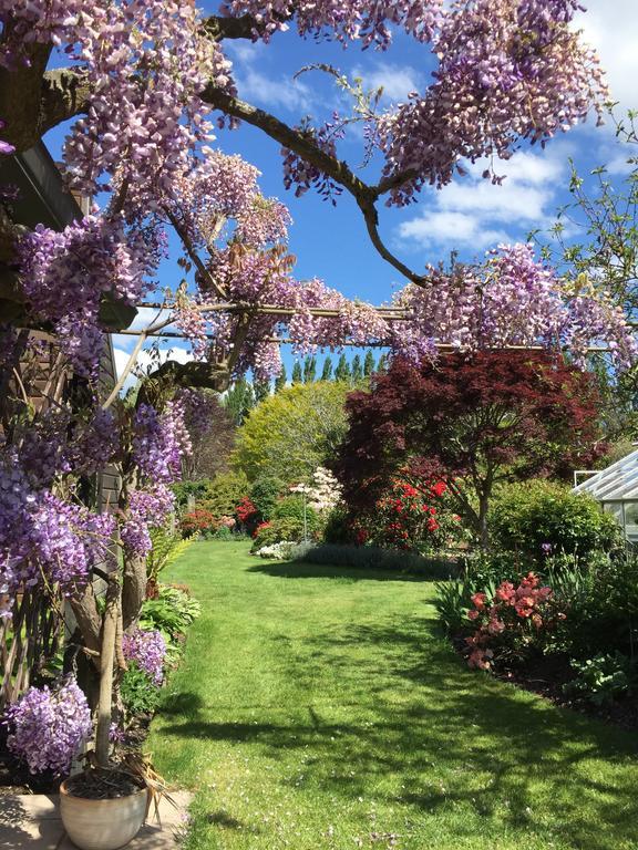 فندق كريستتشيرشفي  Rhododendron Garden المظهر الخارجي الصورة