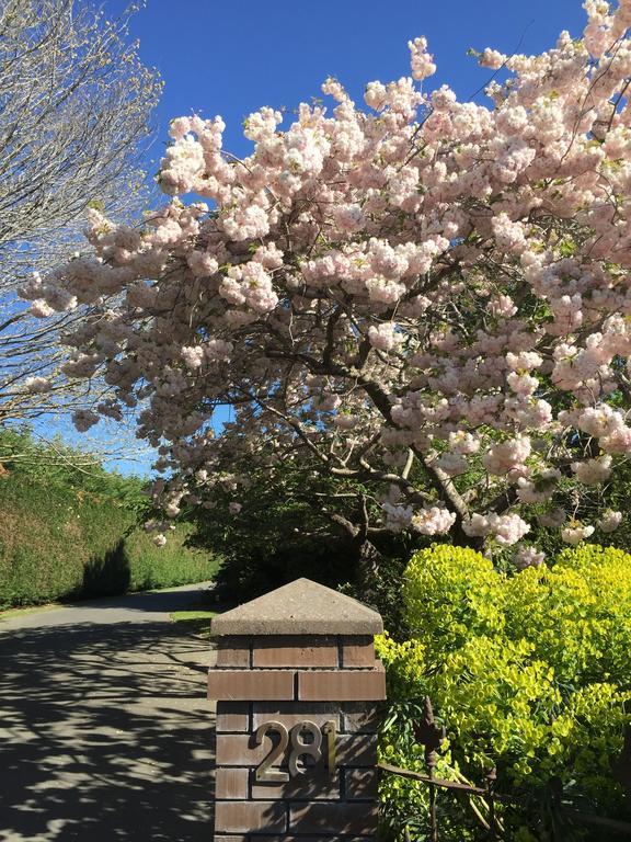 فندق كريستتشيرشفي  Rhododendron Garden المظهر الخارجي الصورة