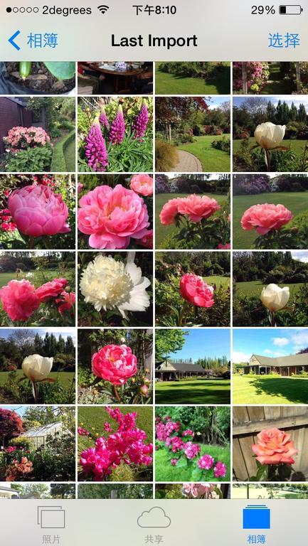 فندق كريستتشيرشفي  Rhododendron Garden المظهر الخارجي الصورة