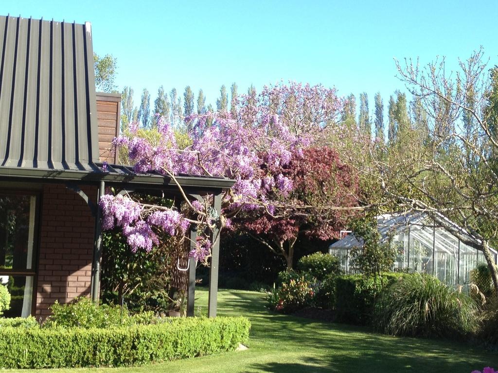 فندق كريستتشيرشفي  Rhododendron Garden الغرفة الصورة