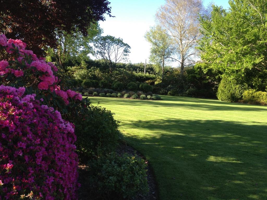 فندق كريستتشيرشفي  Rhododendron Garden الغرفة الصورة