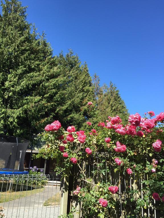 فندق كريستتشيرشفي  Rhododendron Garden المظهر الخارجي الصورة